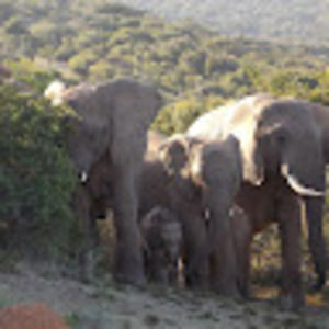 Meet your Posher, Deb